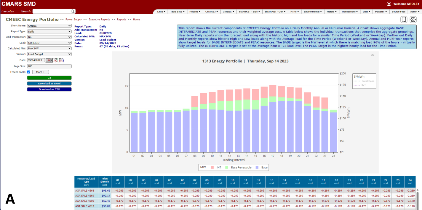 (A) Energy Portfolio report.